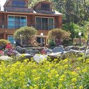 금빛솔여울에든가오름 | 가문의위기