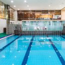 펫도그 애견스쿨 이미지