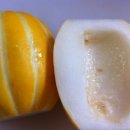 김성환 농장 이미지