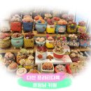 다산프리티다육
