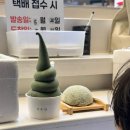 모찌아이스크림 | 여수 여행 이순신광장 여수당 모찌 쑥 아이스크림 솔직후기 내돈내산