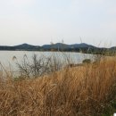 우포늪생태공원 이미지