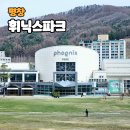 지동 125-2 ~ 지동 142-10 | 휘닉스파크 오렌지동 객실 루지 곤돌라 즐기기