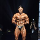 JS퍼포먼스 이미지