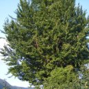 천지인농장 이미지