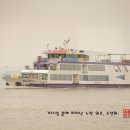 선도수선화 | 노란 봄이 물든 섬, 신안 선도 수선화축제 다녀온 후기