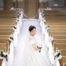 소망교회 | [본식스냅] 비비안웨딩 스냅&amp;DVD 본식 후기, feat.압구정 소망교회 결혼식