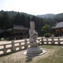 오*대 이미지