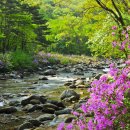 산서초 앞 이미지