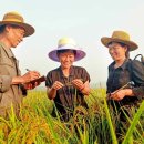 학수농장 이미지