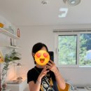버드나무펜션 | 강원도 춘천 커플 숙소, 감성 독채 펜션 윌로우하우스 추천 100%