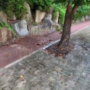 과학단지로 이미지