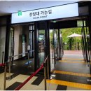 나라호수산 | 춘천 가볼만한곳 삼악산 호수케이블카 할인받고 다녀온 후기