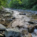 부연농장 이미지