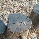 체육공원앞 이미지