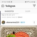 모란애