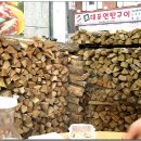 참나무조개구이 티스토리