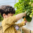 주공농장 이미지