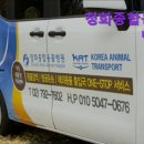 청화종합동물병원 | [이태원 호텔 숙소 추천!] 청화종합동물병원 이태원 동물병원 추천