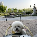 큣페이스 이미지