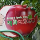 농업회사법인 잭과사과나무 네이버블로그