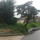 그루고개로 이미지