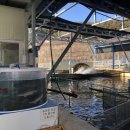 칠연폭포송어양어장 이미지