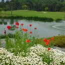 보라컨트리클럽 이미지