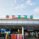 부엉이휴게소 이미지