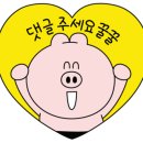 홍시갈비 이미지