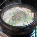 중앙부속 Daum카페