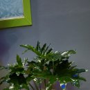 대가 노래연습장 이미지