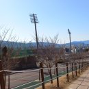 축구센터 산책로 이미지