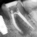 다나웰치과의원 이미지