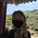 다원샾