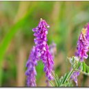 해오름관광농원 이미지