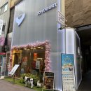[서울 양즈깐루] 유요거트 명동본점 - 제대로 된 중국 본토 찐 망고 양즈깐루가 있는 곳
