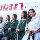 대륙개발 이미지