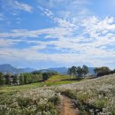 메밀꽃회관 이미지