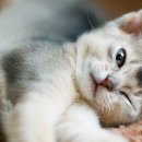 더현대약국 이미지