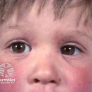 월인한의원 이미지