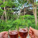 명봉산솔밭관광농원오토캠핑장 이미지