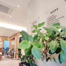 송봉동이비인후과의원 이미지