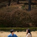 견우 스포츠경향