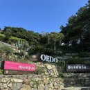 장승포유람선터미널 | 거제 외도 보타니아 구조라 유람선 터미널 이용팁 해금강 코스 후기