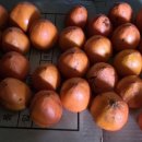 군산척척연합의원 이미지