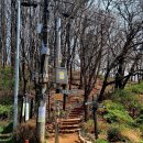 중앙로9길 이미지