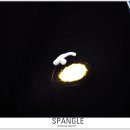 정성디테일링