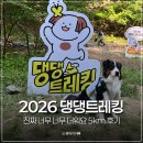 댕댕# | 2026 댕댕트레킹 5km 코스 다녀온 후기 준비물