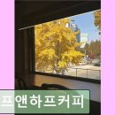 서구-02-72 | 대전 빵투어 하프앤하프커피 대전 빵투어 하프앤하프커피, 부담 없는 편안한 공간